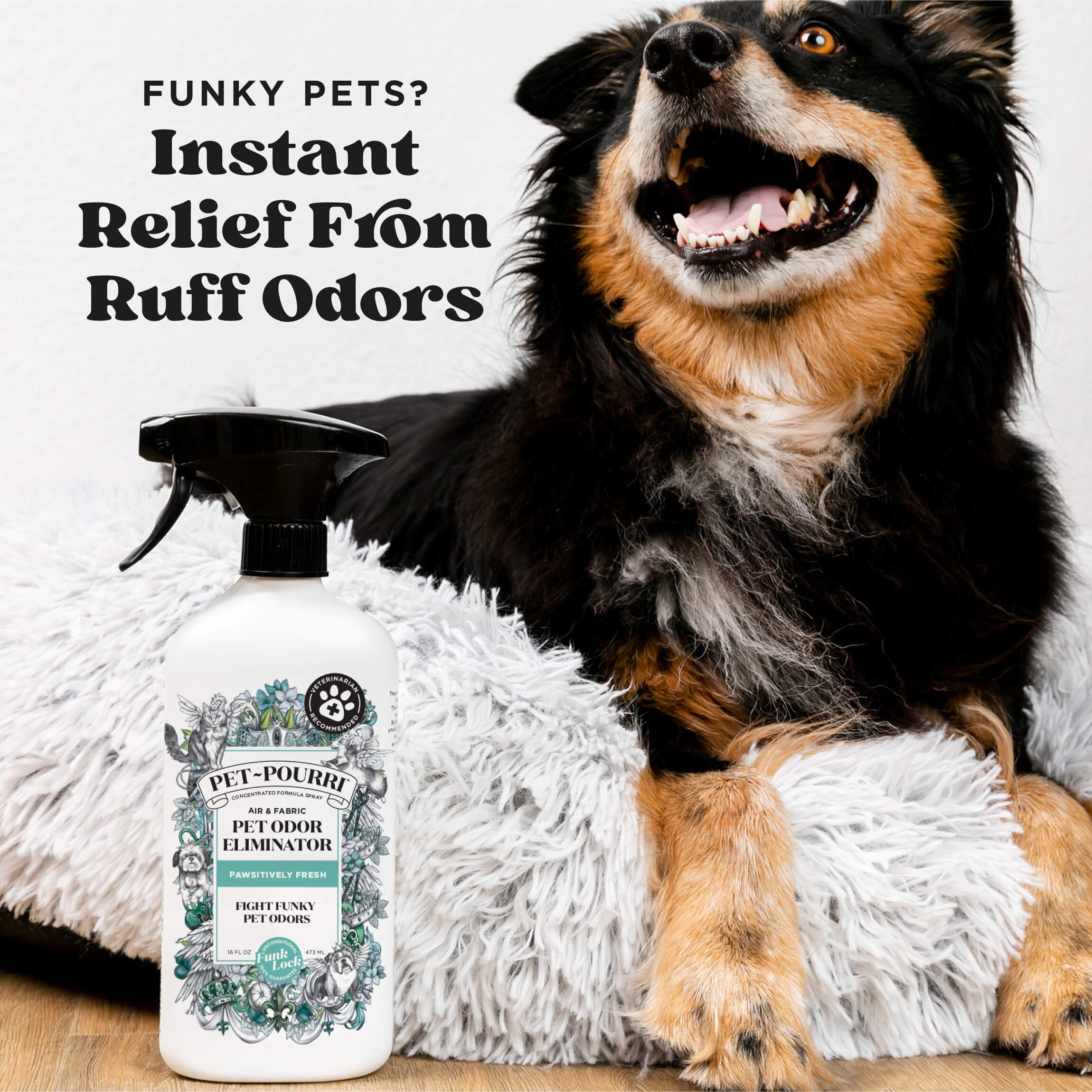 Pawsitively Fresh - Pet~Pourri Room Spray - View 3