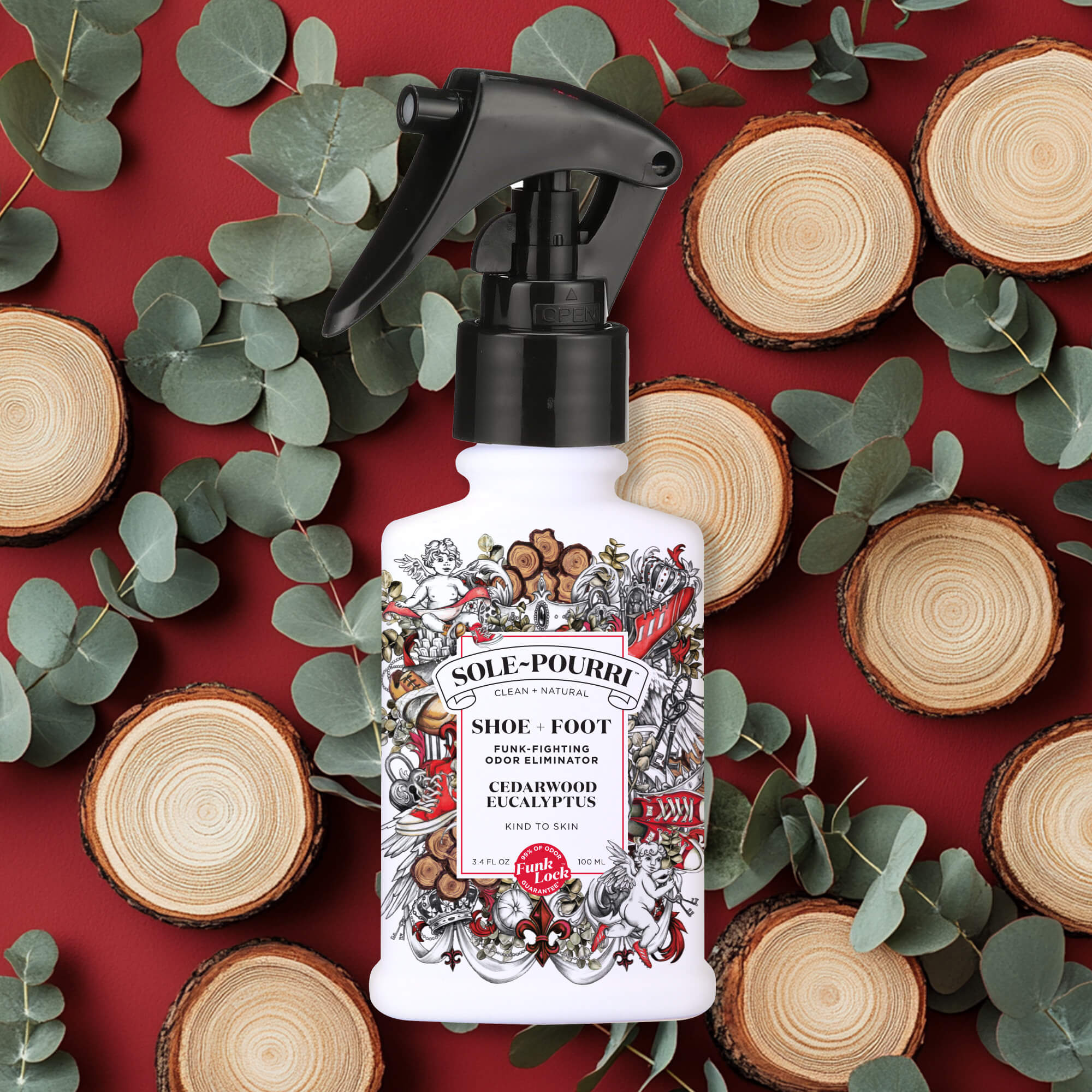 Cedarwood Eucalyptus - Sole~Pourri Shoe Deodorizer - Main image