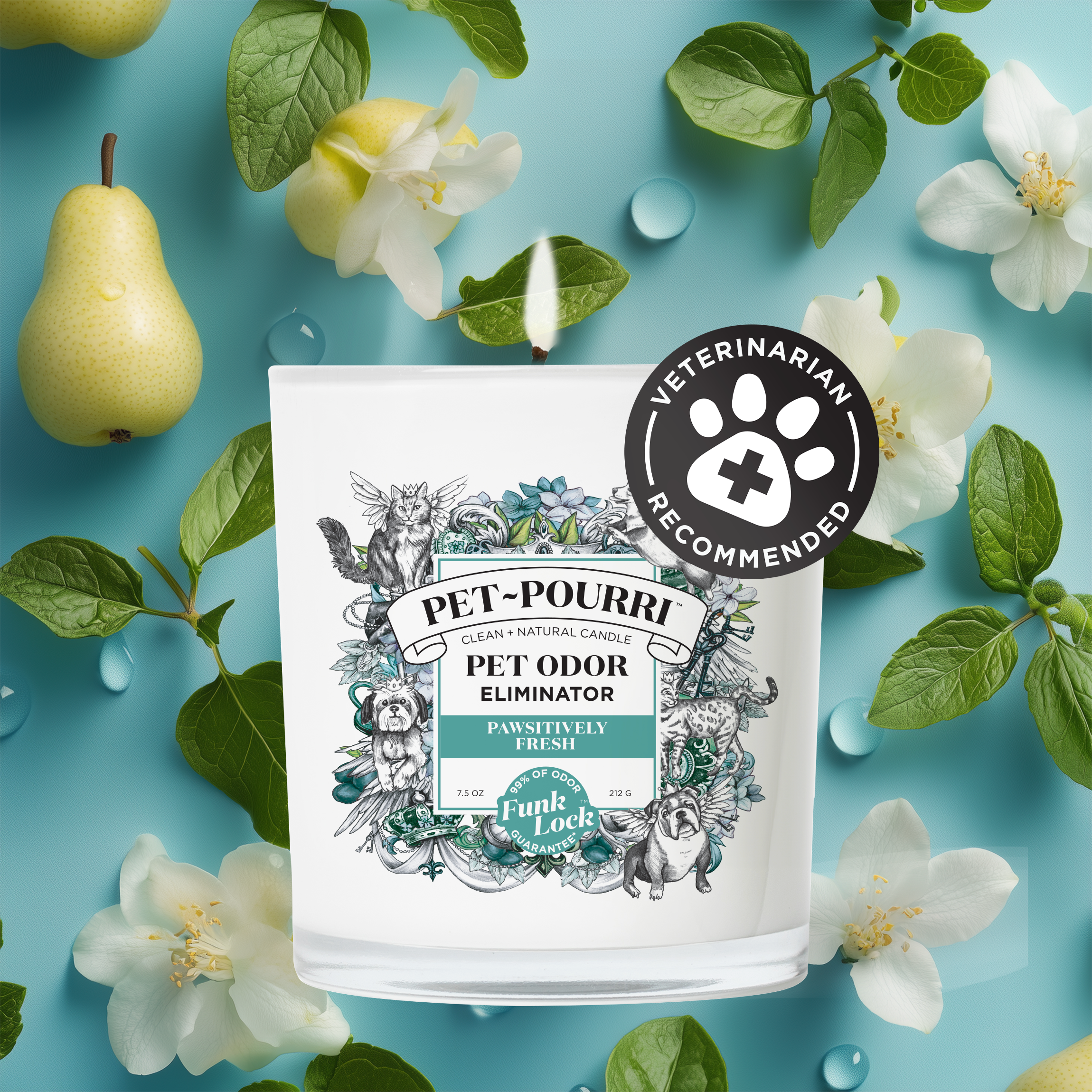 Pawsitively Fresh Candle - Pet~Pourri Candle - Main image