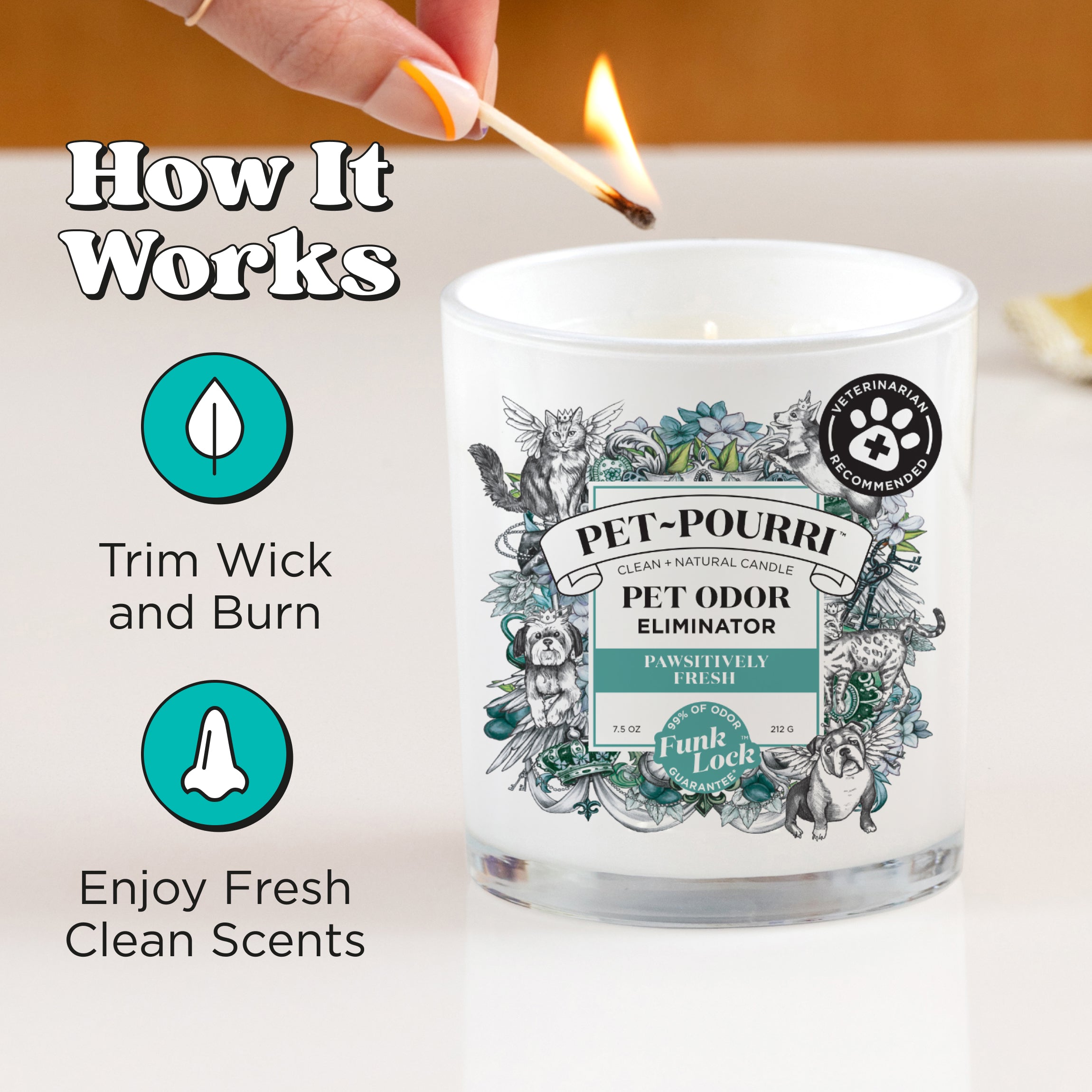 Pawsitively Fresh Candle - Pet~Pourri Candle - View 6