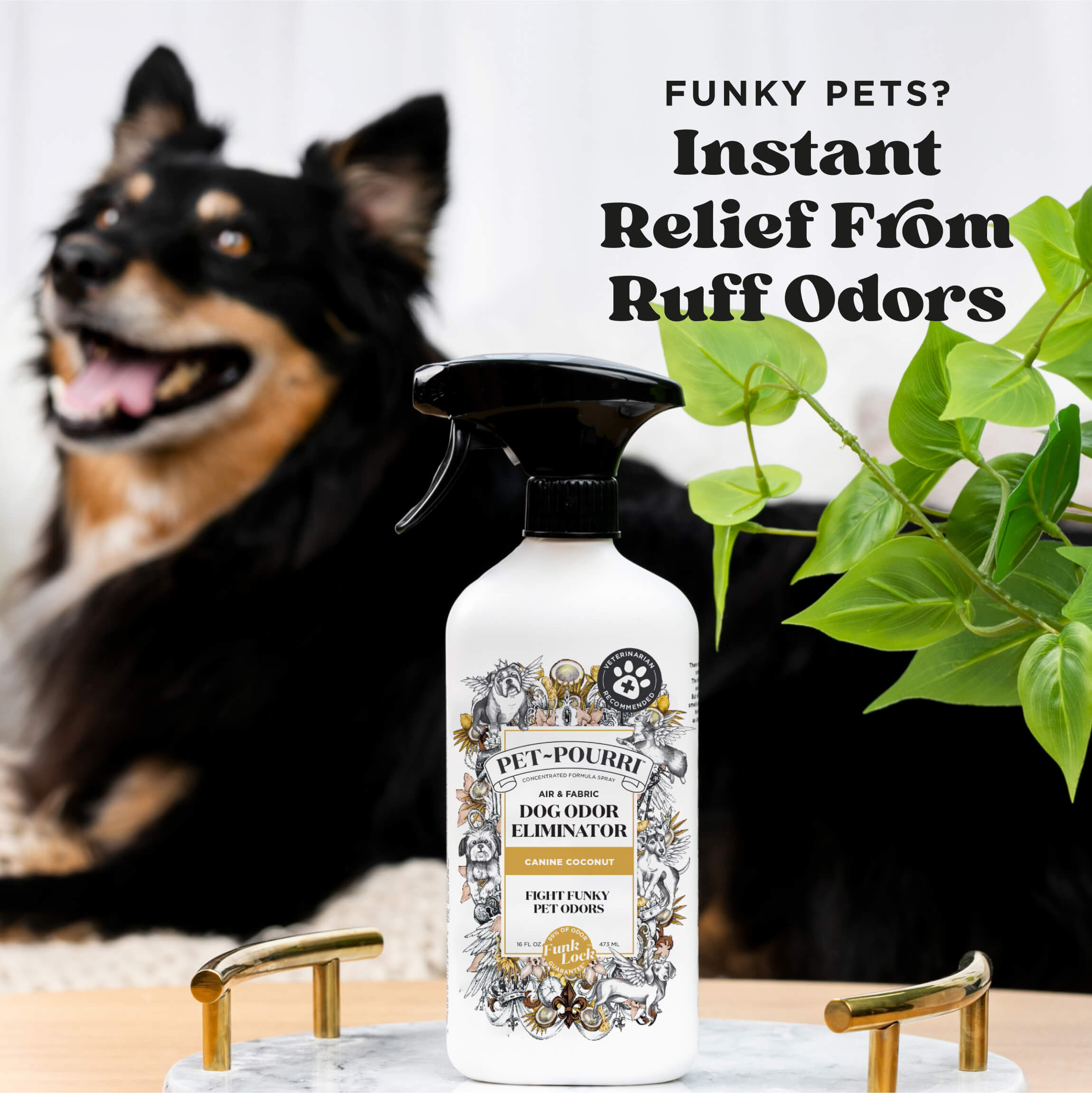 Canine Coconut - Pet~Pourri Room Spray - View 3