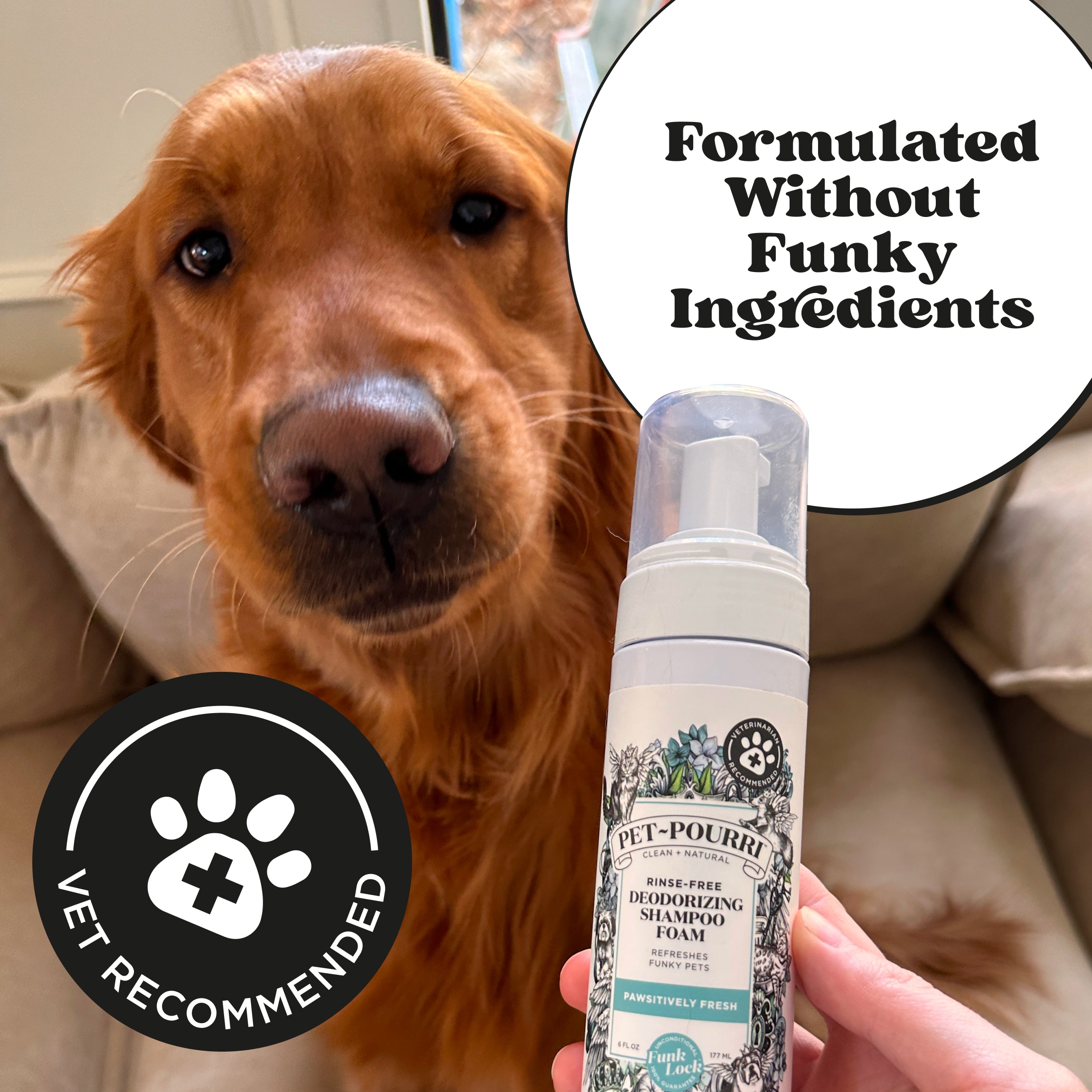 Rinse-Free Deodorizing Shampoo - View 5