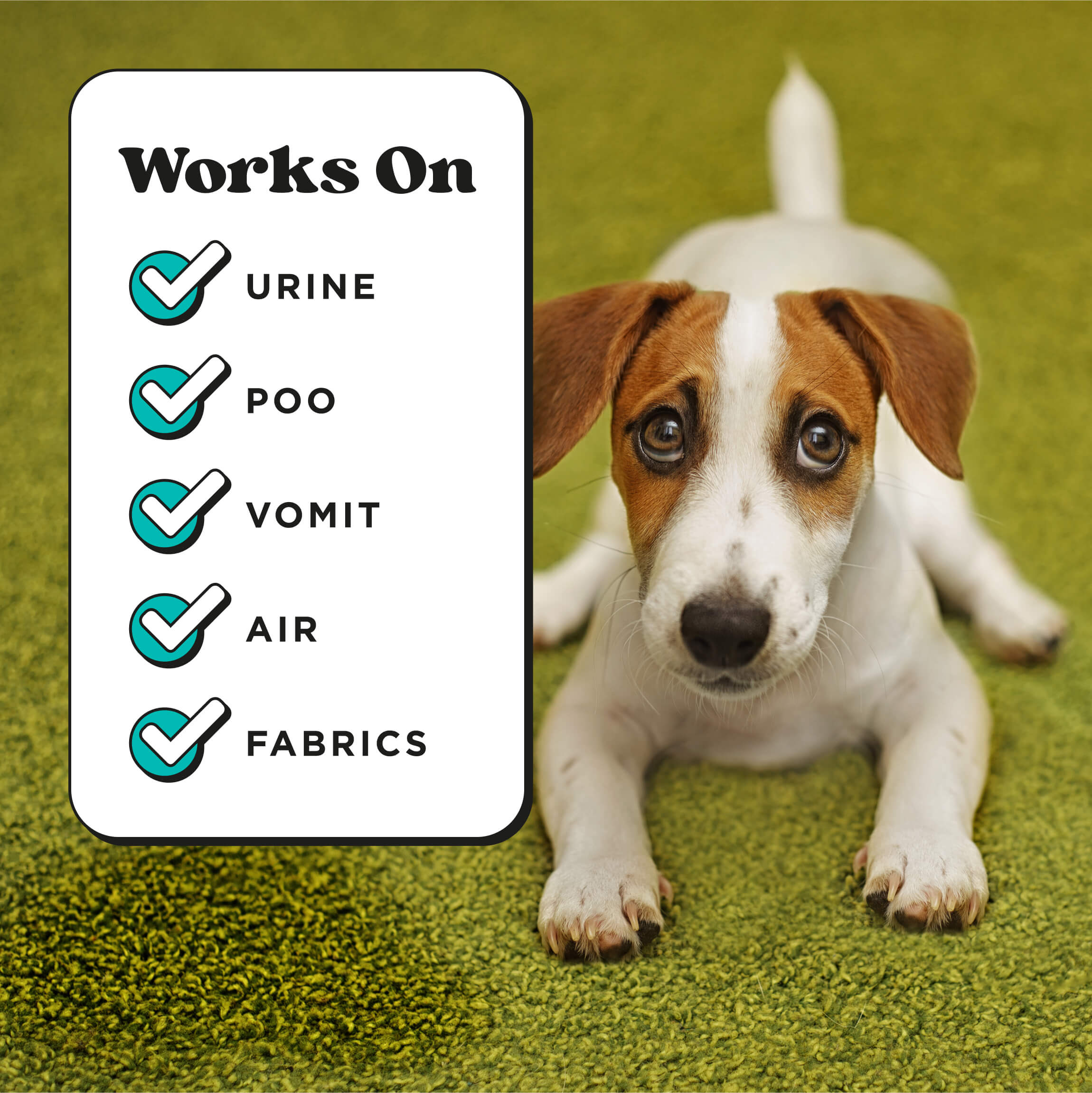 Pawsitively Fresh Pocket Sprayer - View 6