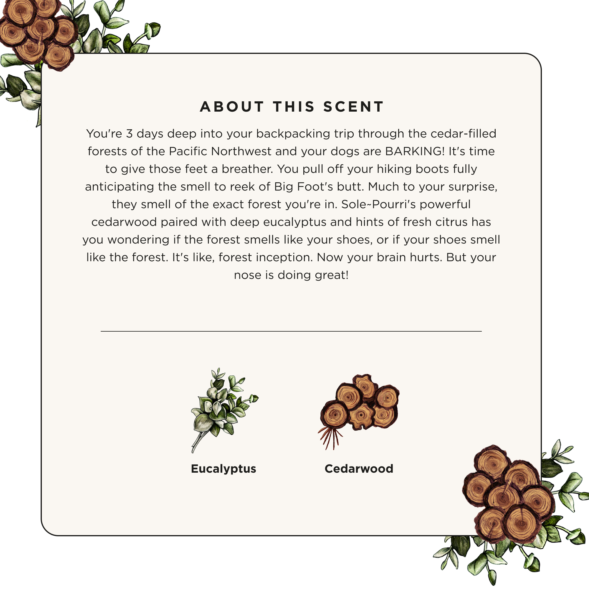Cedarwood Eucalyptus - Sole~Pourri Shoe Deodorizer - View 4