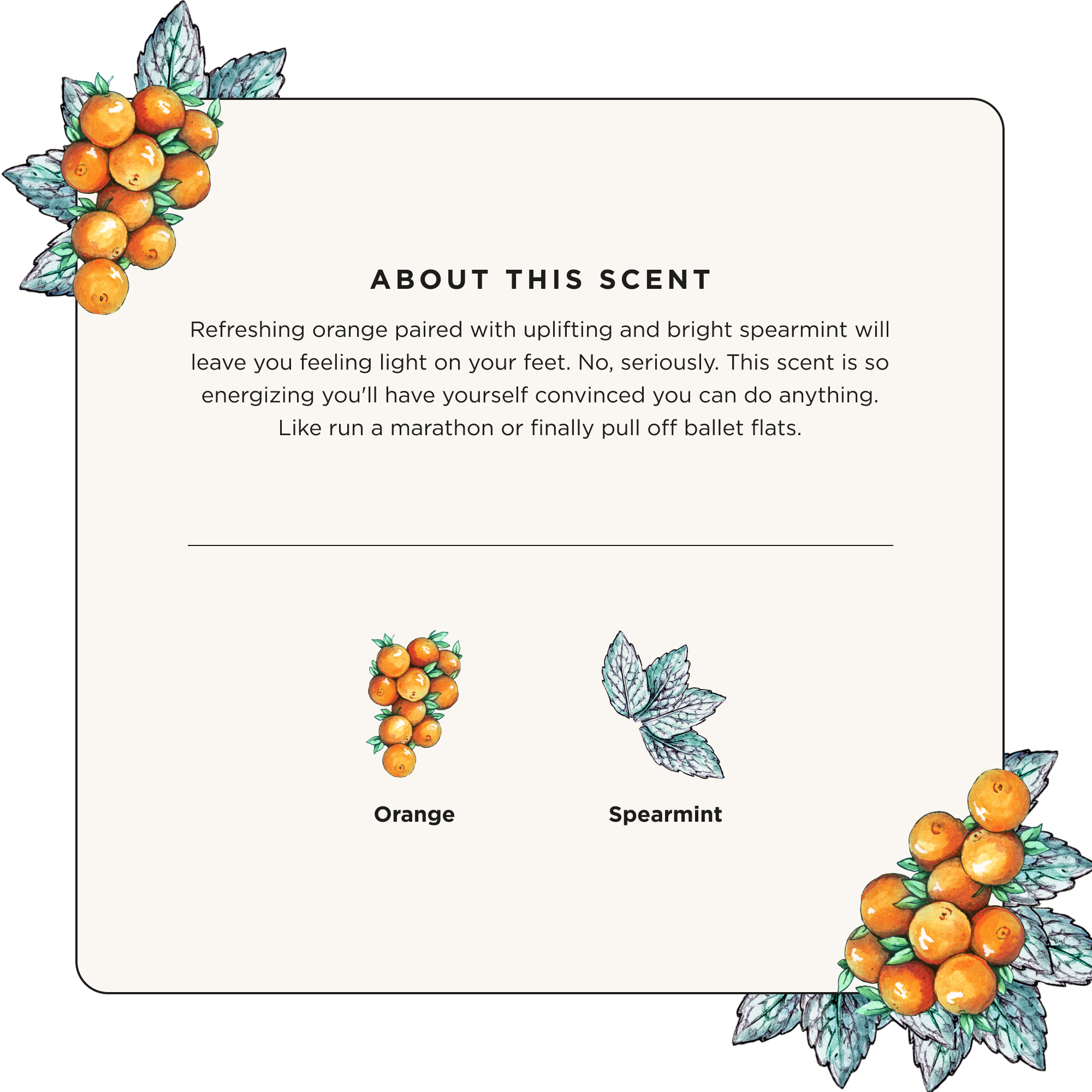 Citrus Mint - Sole~Pourri Shoe Deodorizer - View 5